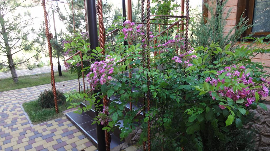 Villa Sosnovy Bor Затока Екстер'єр фото